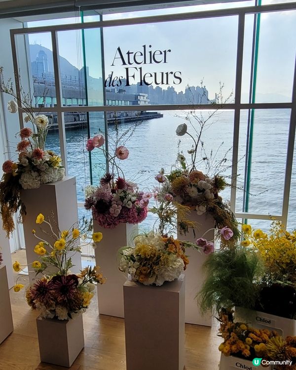 Chloé Atelier des Fleurs 香港藝術展