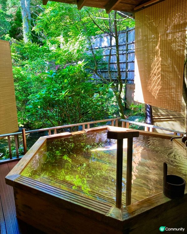 湯迴廊菊屋，古色古香，文物墨寶滿載🏯✨