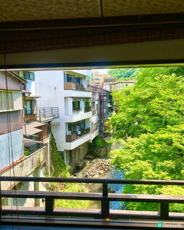 湯迴廊菊屋，古色古香，文物墨寶滿載🏯✨