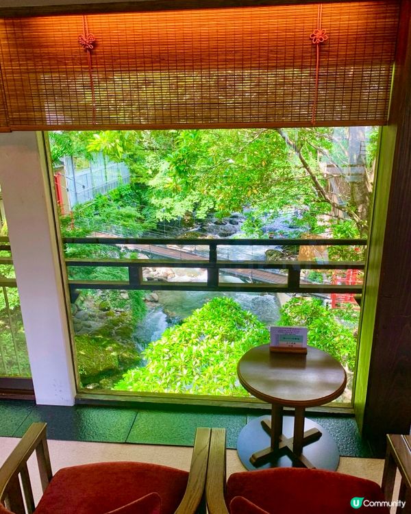 湯迴廊菊屋，古色古香，文物墨寶滿載🏯✨