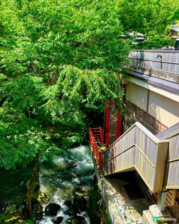 湯迴廊菊屋，古色古香，文物墨寶滿載🏯✨