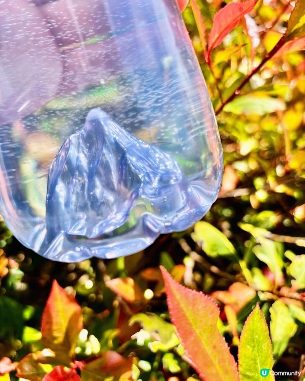 《阿爾卑斯山的藍金是否有壓力?》 💦