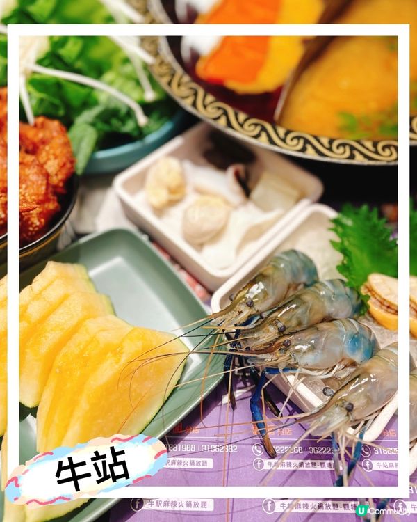 大頭蝦任食火鍋放題‼️🦐