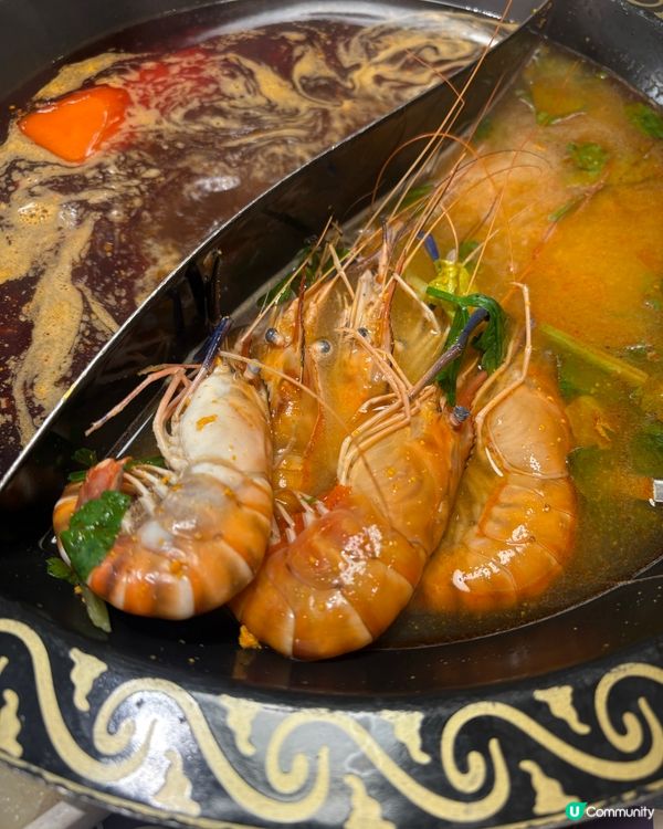 大頭蝦任食火鍋放題‼️🦐