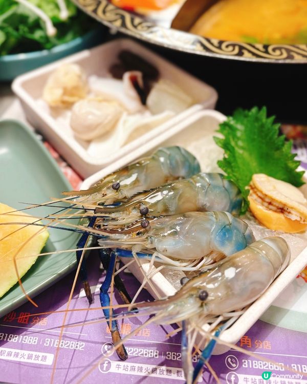 大頭蝦任食火鍋放題‼️🦐