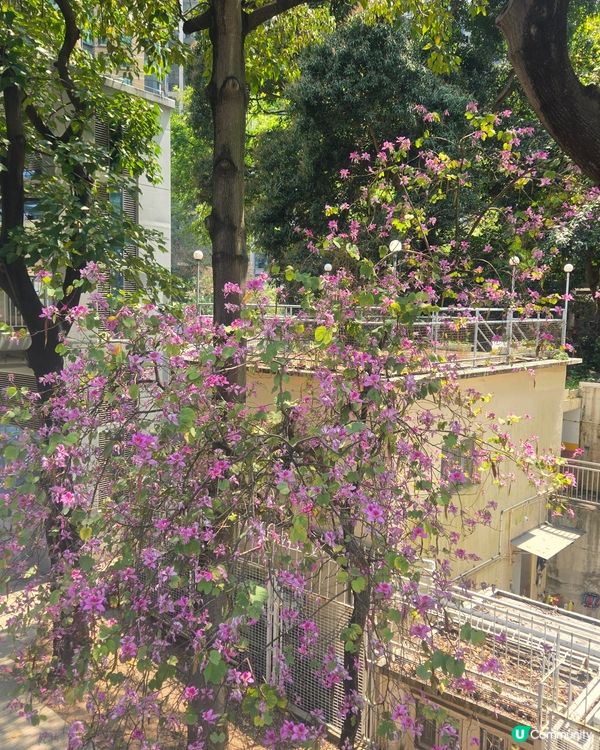 #UCreator#UCreator#打卡美食#打卡美食#好...