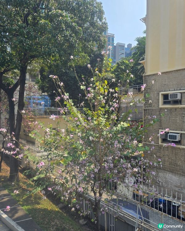 #UCreator#UCreator#打卡美食#打卡美食#好...