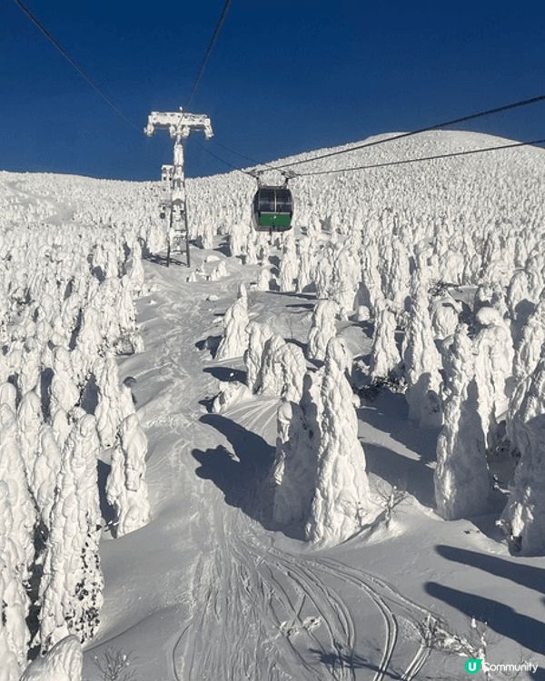 藏王樹冰，平時睇相就多，原來親眼見到係咁壯觀😀