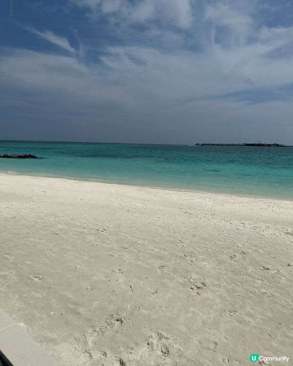 馬爾代夫～椰林樹影🤪水清沙幼