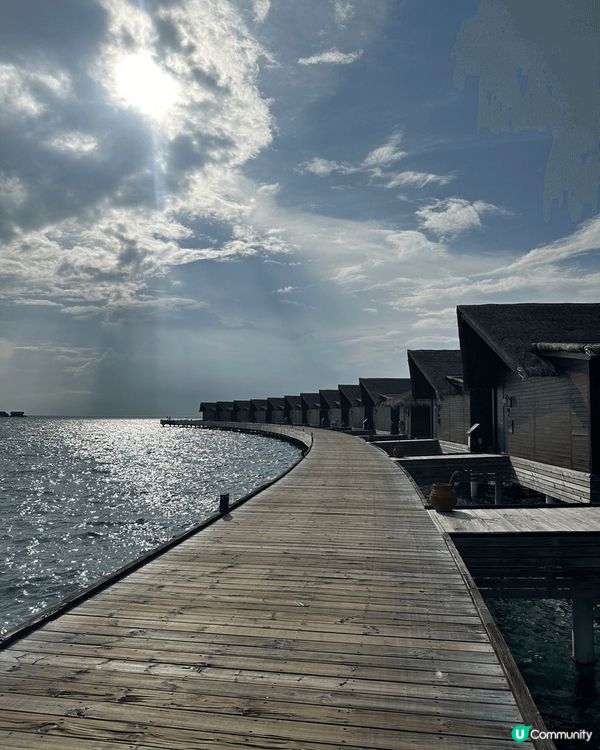 馬爾代夫～椰林樹影🤪水清沙幼