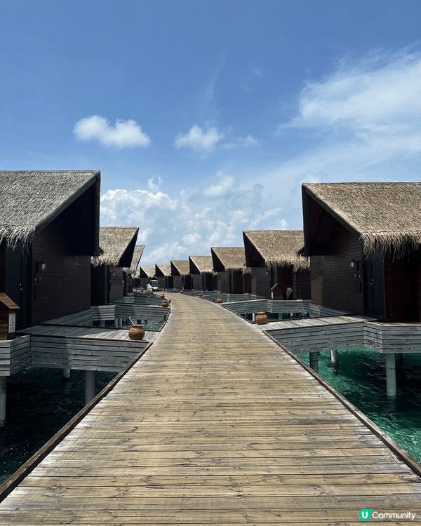 馬爾代夫～椰林樹影🤪水清沙幼