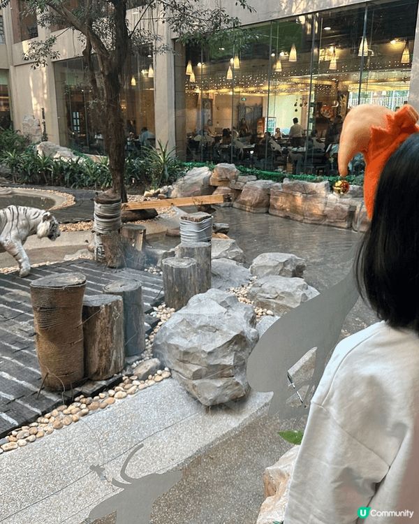 住廣州長隆酒店可以食住早餐睇白老虎, 馬戲好精彩, 野生動物...