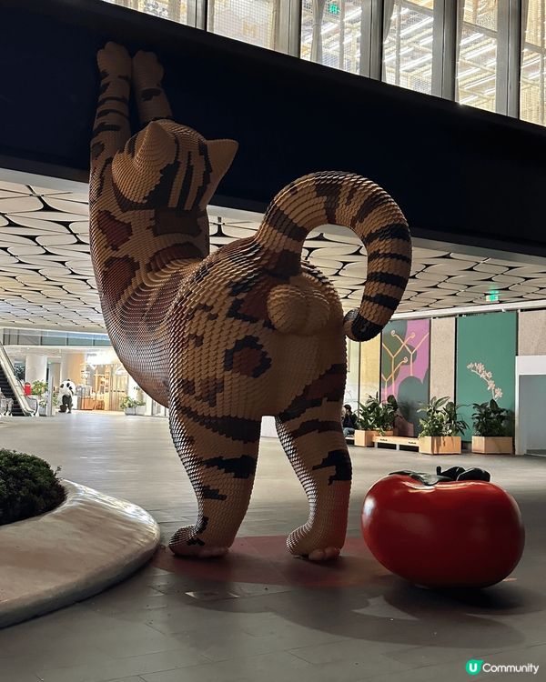 深圳🌿以森林🌳生態為題嘅新商場