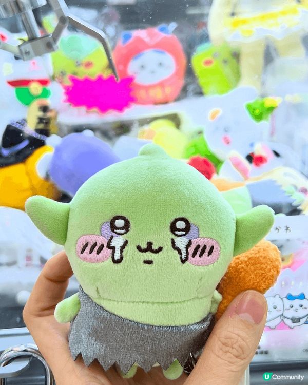 2024年至2025年，我的生活充滿了許多美好的回憶。