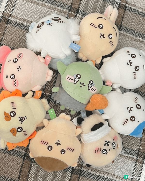 2024年至2025年，我的生活充滿了許多美好的回憶。