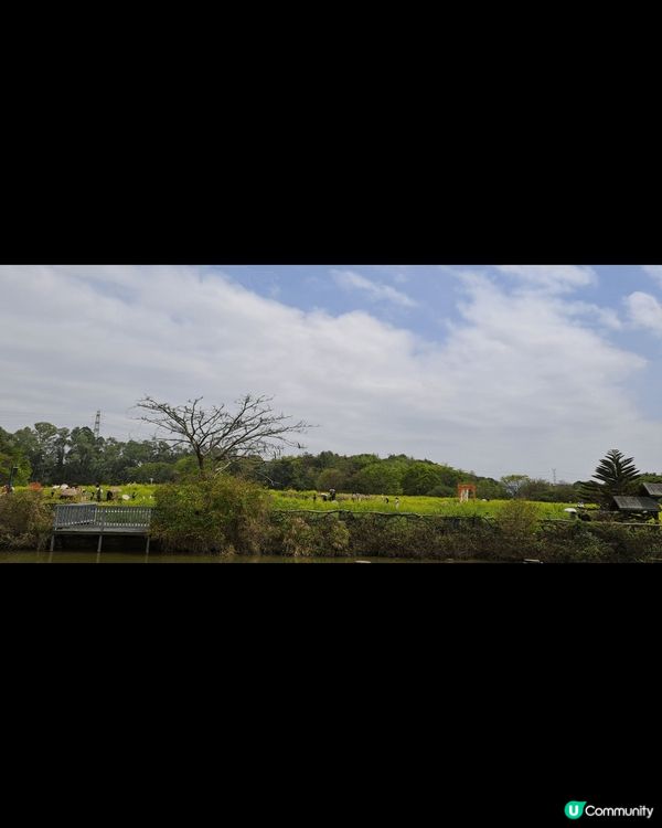 我認為我春天很喜歡去烏鎮我接觸大自然令到我春季可以放心去一次...