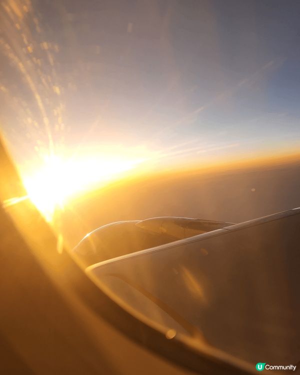 正飛去台北食飽飽的🤤🤤