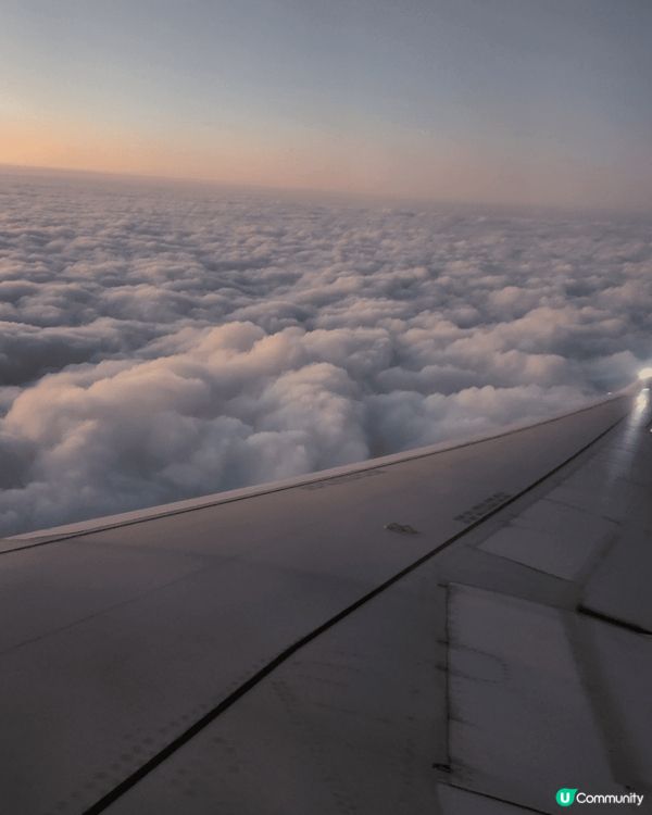 正飛去台北食飽飽的🤤🤤