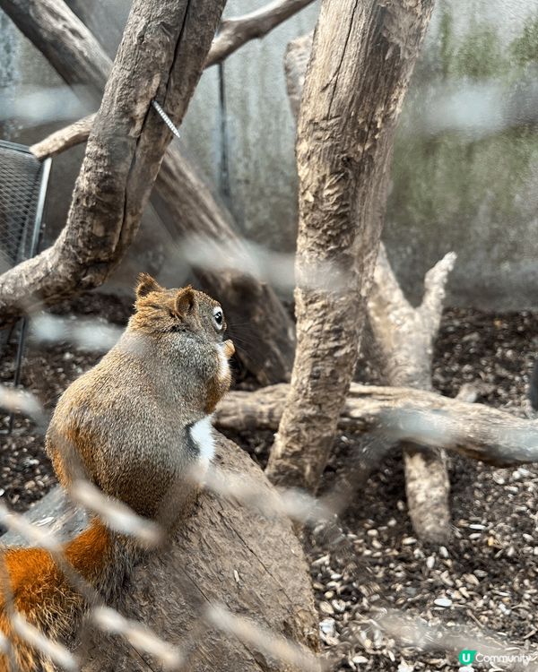 日本打卡熱點，大阪臨空城地標摩天輪，心齋橋必打卡位置除了固力...