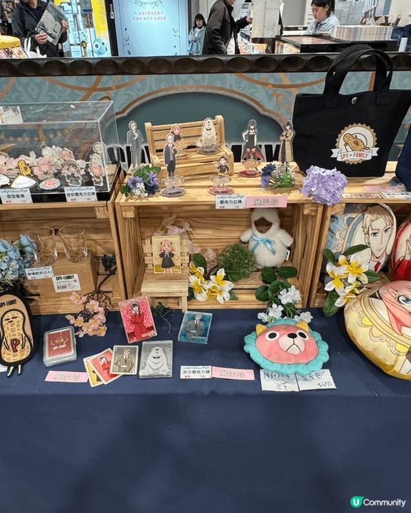 Spy family fans注意！My Anime Caf...