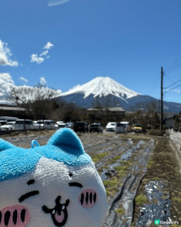 1.去旅行一定會帶小八 因為佢識影相
