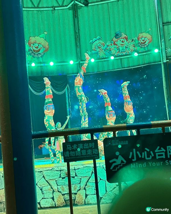 節假日去了深圳野生動物園，在園內的互動區，我們能近距離觀察到...