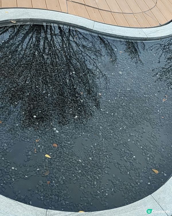 新開商場。探索一下。