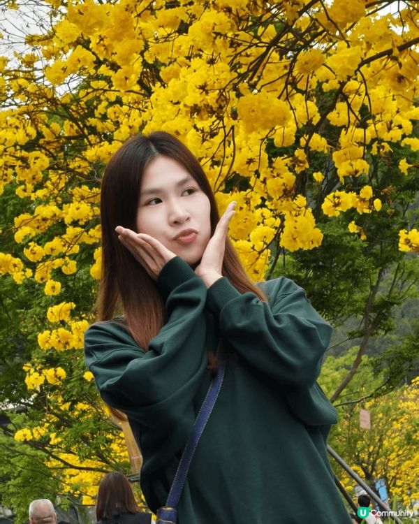 近排同屋企人返咗深圳玩 我哋就去咗大運中心～呢度除咗好多嘢行...