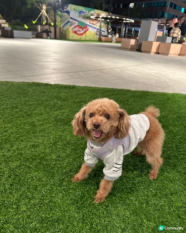 有得玩最Happy😊