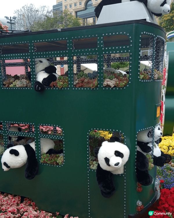 #我想食千層蛋糕