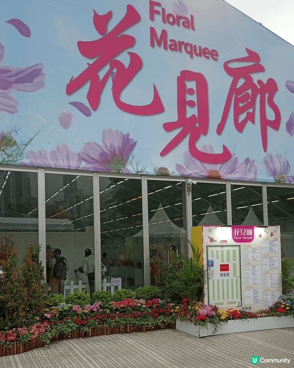 #我想食千層蛋糕