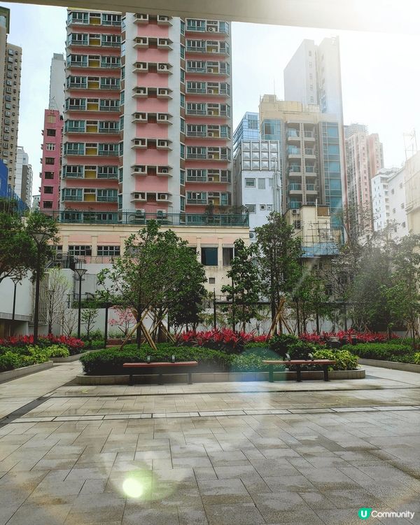 #我想食千層蛋糕