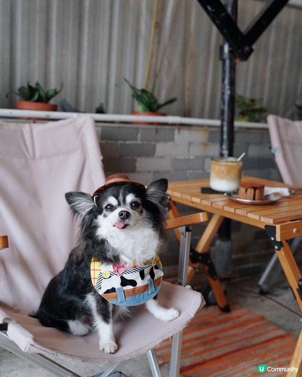 長洲露營風Haika Cafe🌿