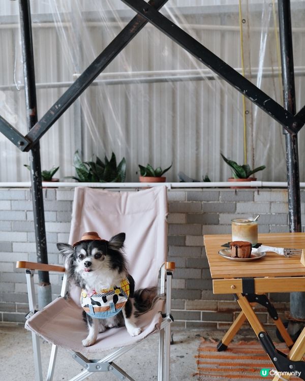 長洲露營風Haika Cafe🌿