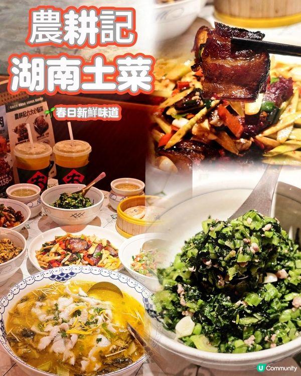 農耕記🌱品嚐春日新鮮味道🍎