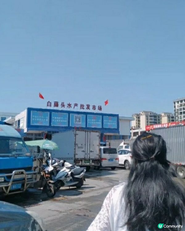 珠海白藤湖實現海鮮自由