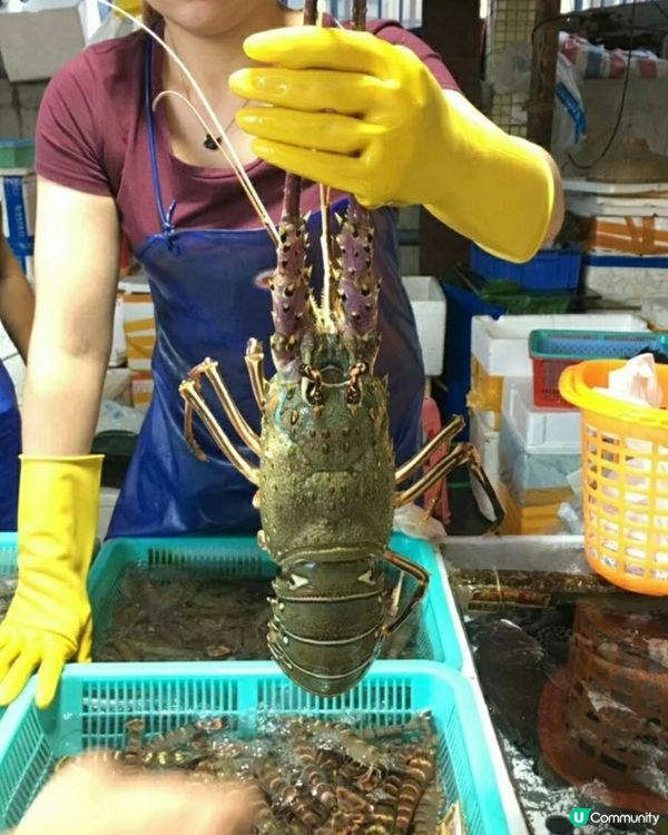 珠海白藤湖實現海鮮自由