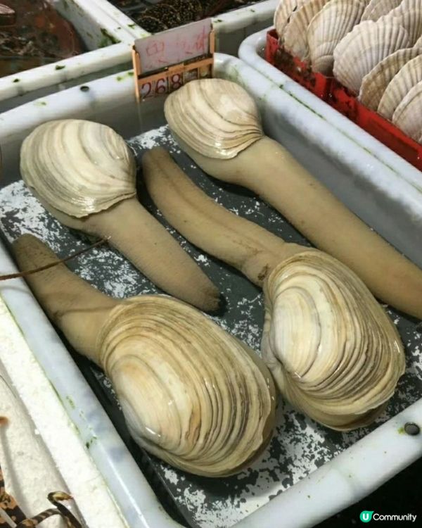 珠海白藤湖實現海鮮自由