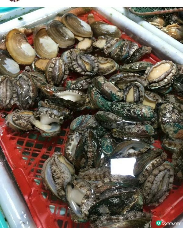 珠海白藤湖實現海鮮自由