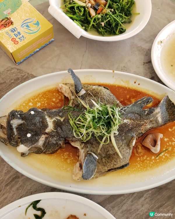 珠海白藤湖實現海鮮自由