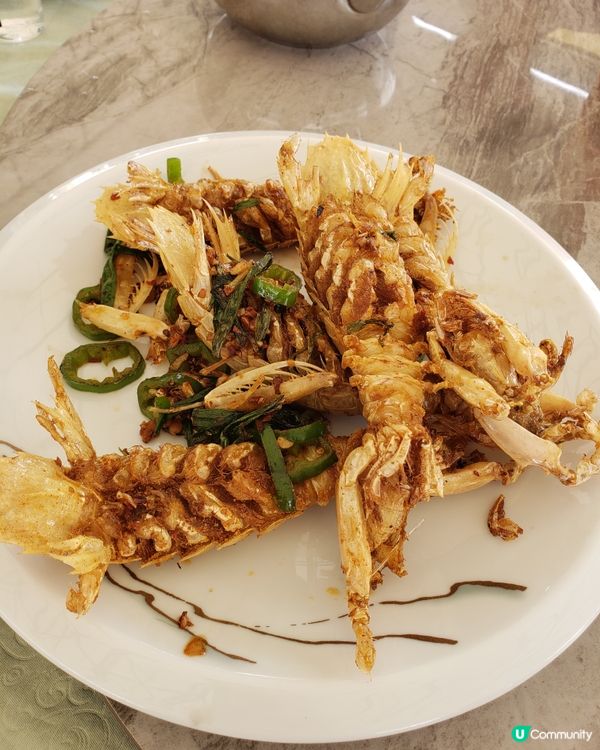 珠海白藤湖實現海鮮自由