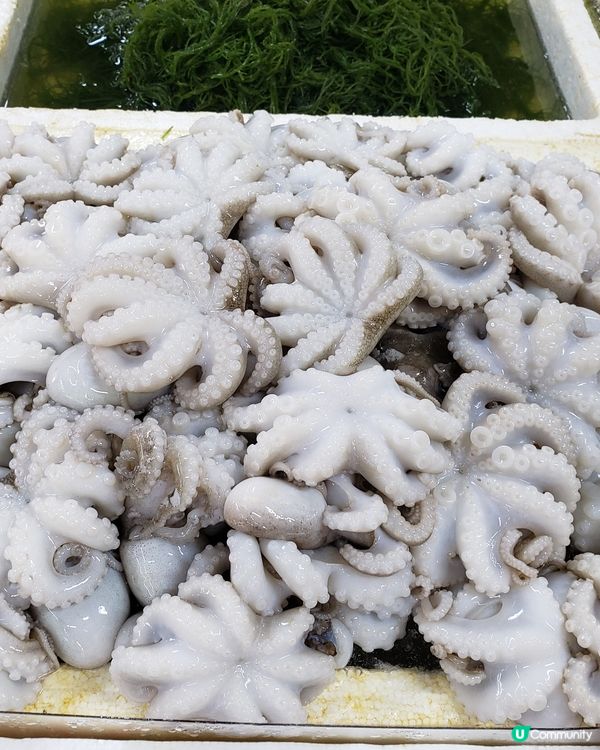 珠海白藤湖實現海鮮自由