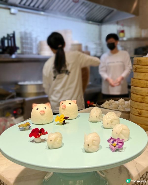 #小陳帶你玩盡香港本土職業體驗#小小點心師#唐宮小聚