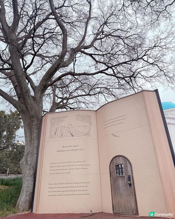 去探魔女🧙‍♀️宅急便小豆島之攻略