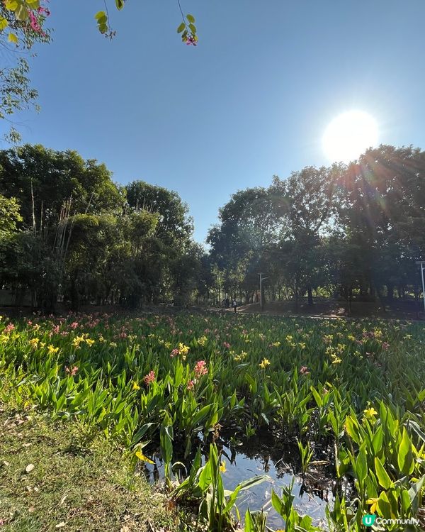 #好去處#全新景點#chill#隱世打卡點#打卡