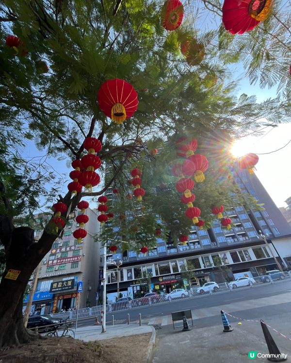 #好去處#全新景點#chill#隱世打卡點#打卡