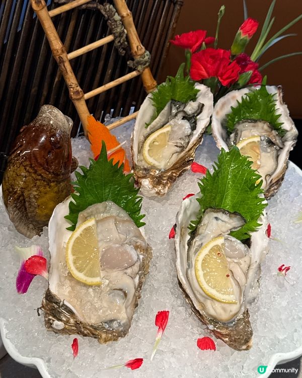 深圳八合里登陸沙田啦！🤩