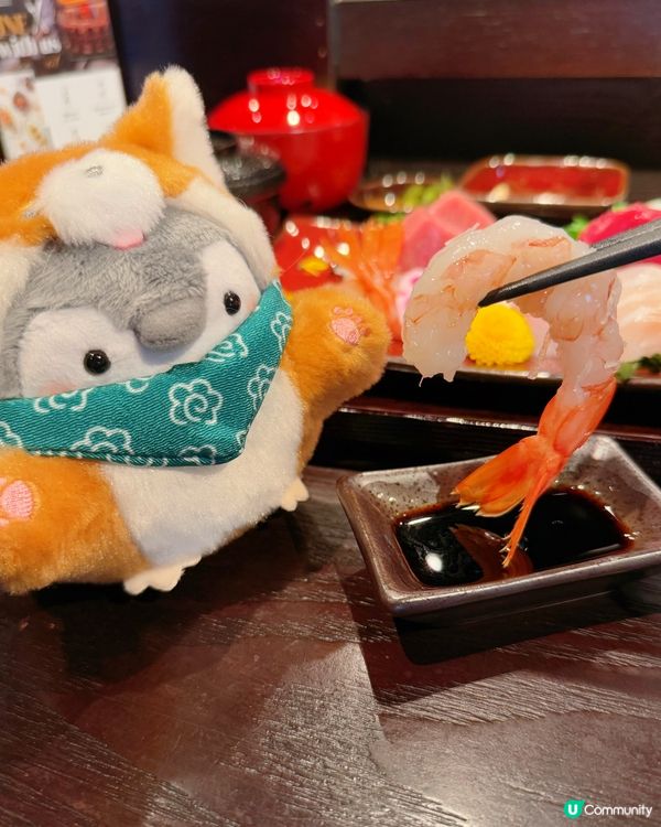 刺身定食超高質❤️