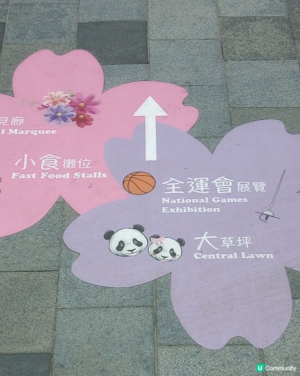 #我想食千層蛋糕