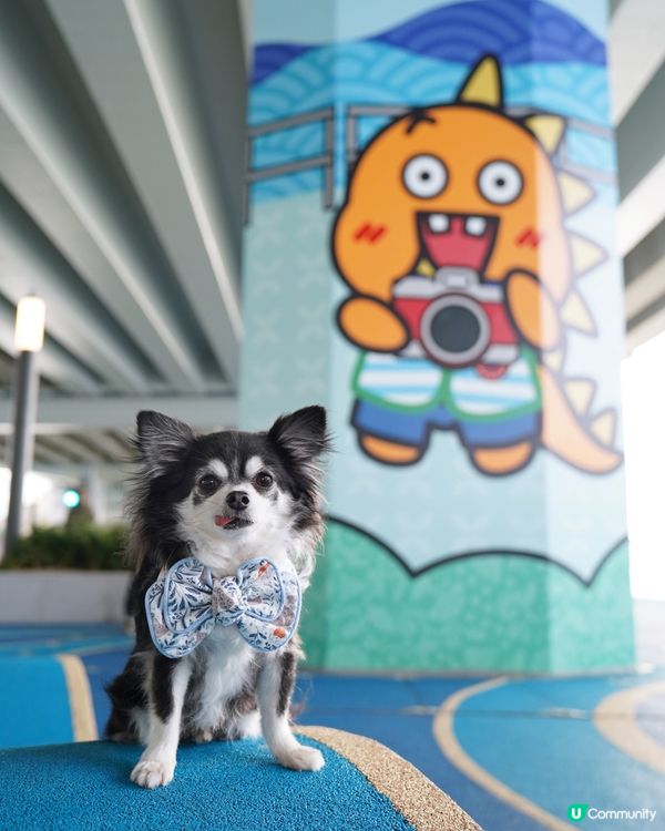 今日黎到北角東岸板道潮聖一下🐾